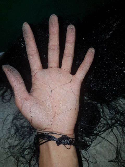 60m Lưới bẫy chim cu , cò, két , cao 6m 5 dây 4 túi đã thắt chống gió và nhuộm tàng hình hàng Thái Lan