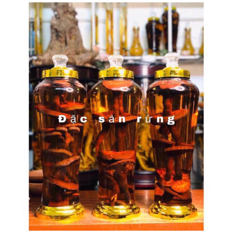 Nấm Linh Chi Đỏ Khô 500gr - Đặc sản rừng