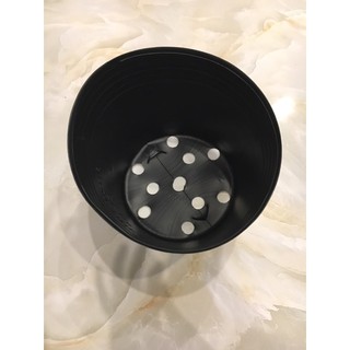 Chậu nhựa mềm C10 ( KT: 26 x 20 x 19.5cm)