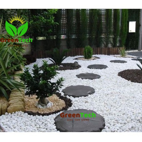 [ Giá Sỉ ] Sỏi Trắng To (2 - 3 cm) 1kg Trang Trí Hồ Cá, Chậu Cây Cảnh, Terrarium, Trang Trí Sân Vườn