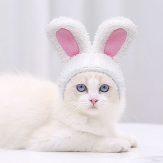 Hình ảnh Mũ HIPIDOG thiết kế tai thỏ xinh xắn đáng yêu dành cho thú cưng chính hãng