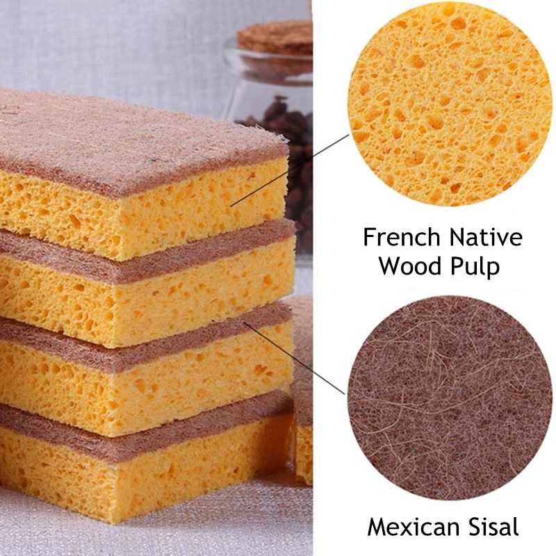 Bọt biển rửa chén bằng gỗ sồi tiện dụng cho nhà bếp