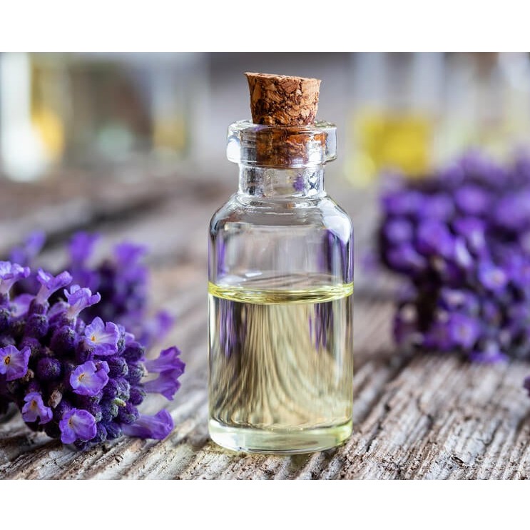 Tinh dầu oải hương (Lavender) nguyên chất 100% từ thiên nhiên