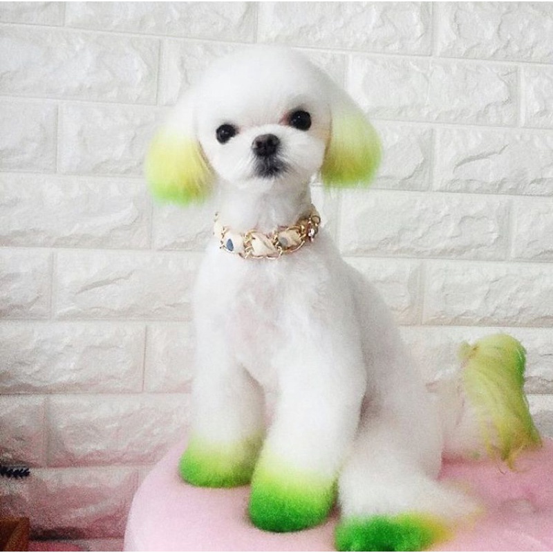 Màu nhuộm thú cưng Blooklyn-ChuChu Pet