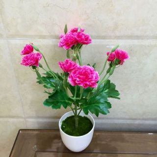 Hoa lụa/cành hoa phăng vải lụa nhiều màu