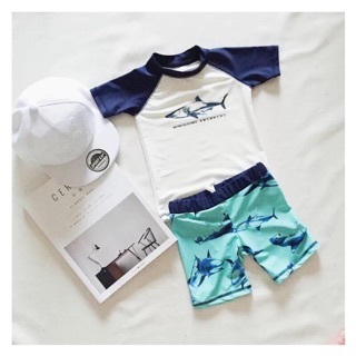 Combo bộ bơi cá mập