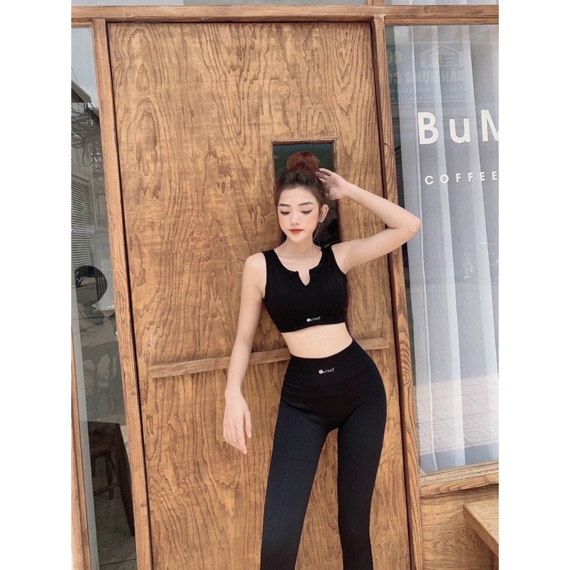 SET THUN CỔ U GÂN GYM, THỂ THAO, YOGA
