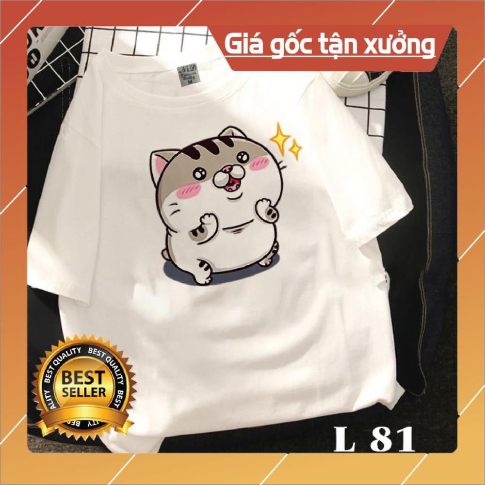 😍SALE HÈ😍 Áo Phông Đẹp Giá Rẻ Mèo Ami bụng bự siêu to khổng lồ