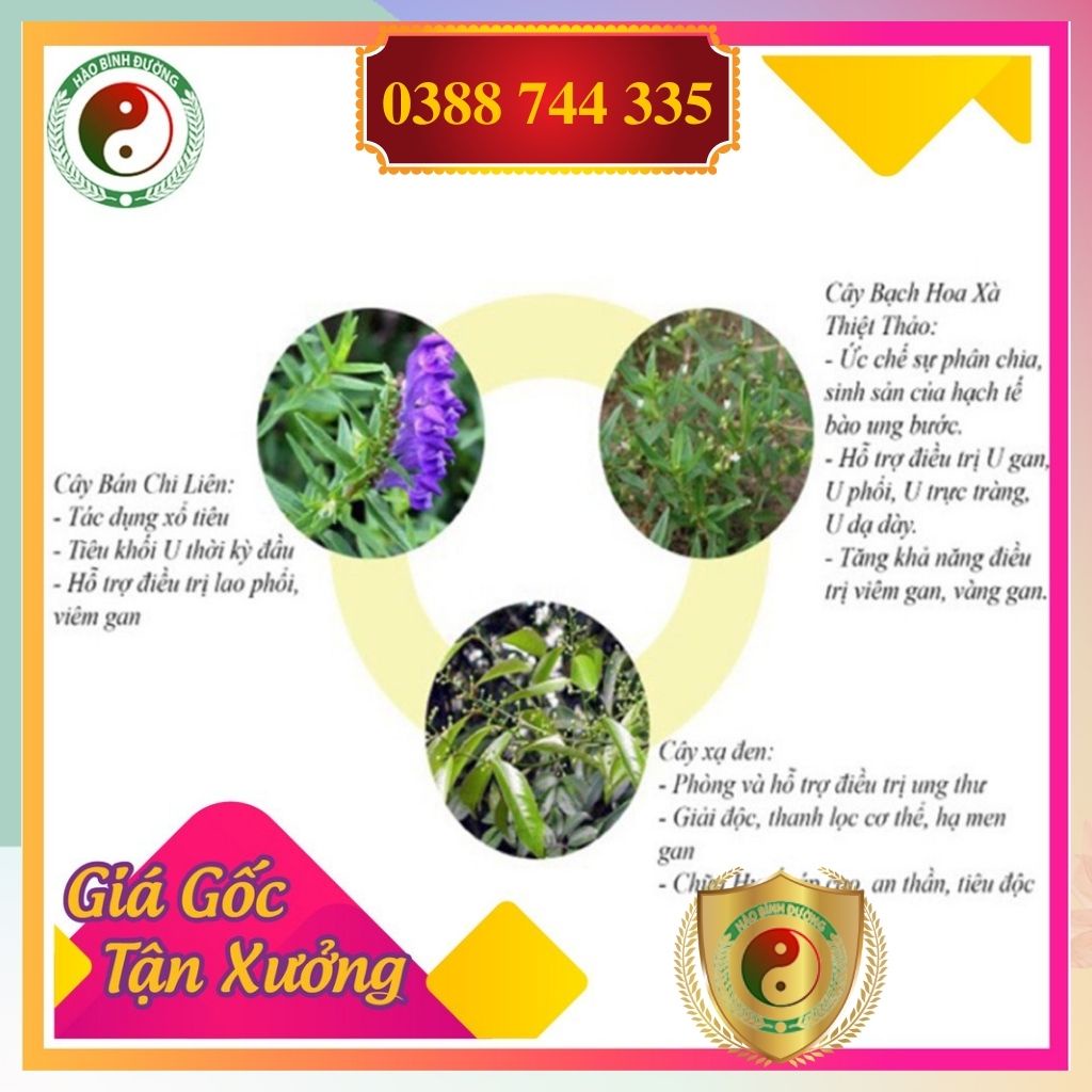 Combo 1kg Xạ Đen +1kg Bán Chi Liên +1kg Bạch Hoa Xà