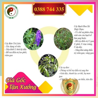 Combo 1kg xạ đen +1kg bán chi liên +1kg bạch hoa xà