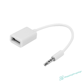 Cáp Chuyển Đổi Cổng 3.5mm Sang Cổng Usb 2.0 Type A Cái