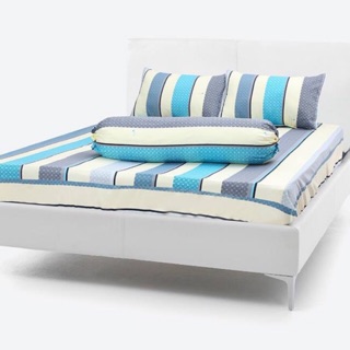 {RẺ VÔ ĐỊCH} Bộ Drap Cotton Thắng Lợi {4 món} Chần Gòn Mẫu Sọc
