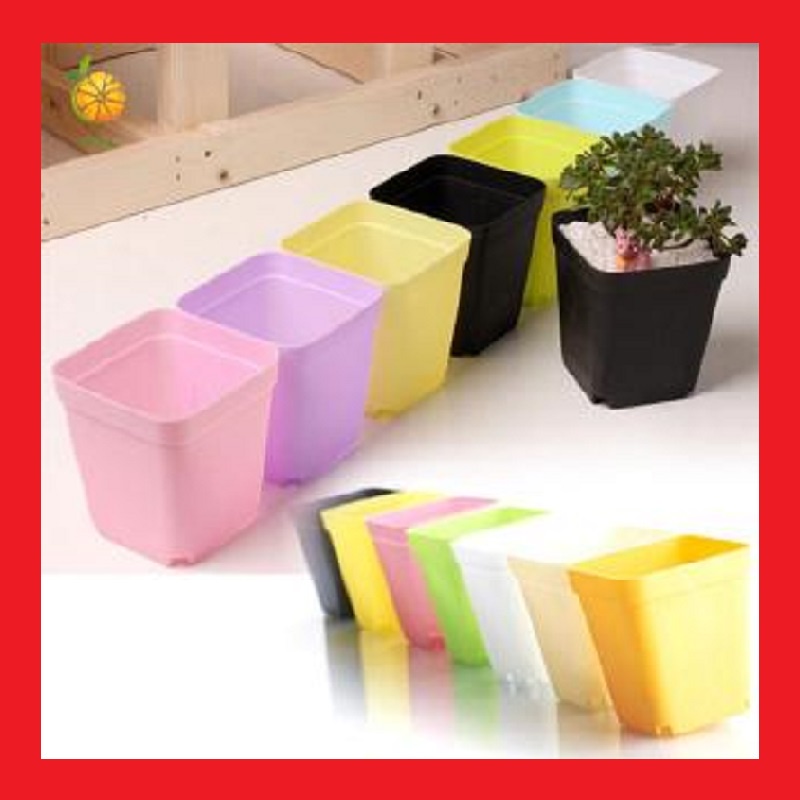 Chậu nhựa 7 x 7 cm kèm đĩa lót FREE SHIP  trồng sen đá, xương rồng