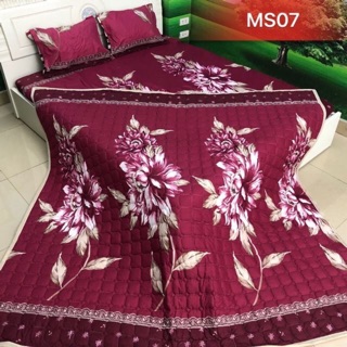 Cúc mận