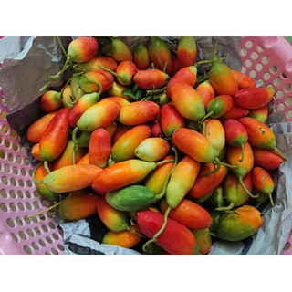 Trái bình bát dây tươi (700gr)