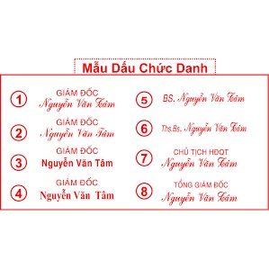 Dấu chức danh 843 hai dòng, khắc theo yêu cầu