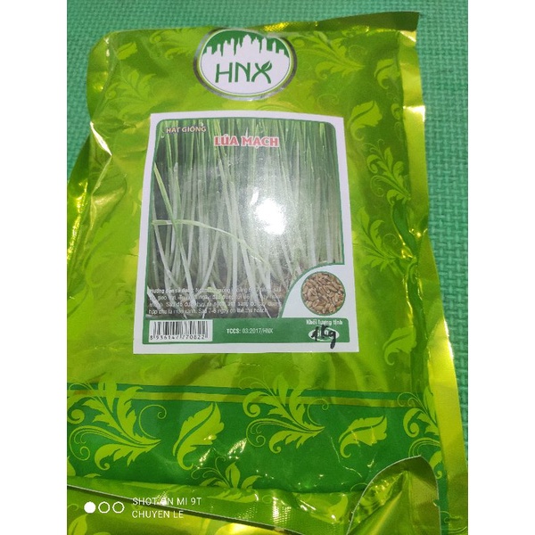 1kg hạt giống rau mầm đậu hà lan/đỏ/xanh/đen/nành, rau muống, củ cải trắng, củ cải đỏ, cải chip, cải ngọt,hướng dương...