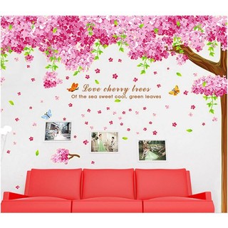 Decal dán tường Cây anh đào to nhất
