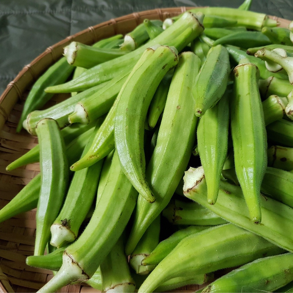 Hạt giống Đậu Bắp Xanh 50gram