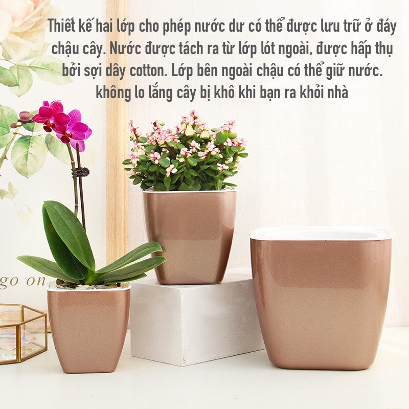 Chậu trồng cây đẹp để bàn Oliz-G1 tự tưới nước cho cây