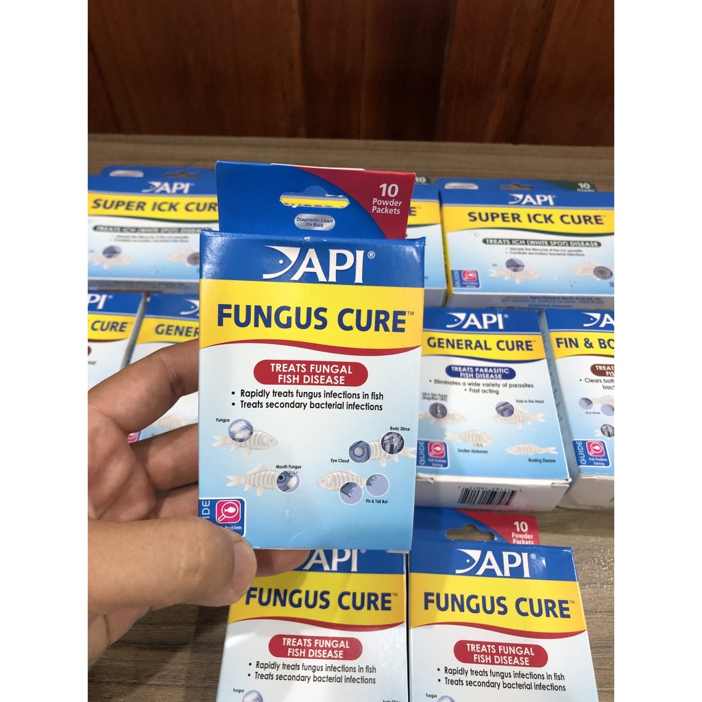Bột Api Fungus Cure có tác dụng chữa nấm hiệu quả (Saprolegnia spp. & Achlya spp.), Nấm miệng (Cotton) ...