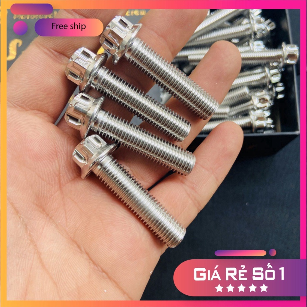 BỘ SƯU TẬP CÁC LOẠI ỐC SALAYA 10LY ĐẦY ĐỦ CÁC SIZE 10LY23 - 10LY4 - 10LY5 - 10LY6, BAO RỈ SÉT, BAO SÁNG BÓNG