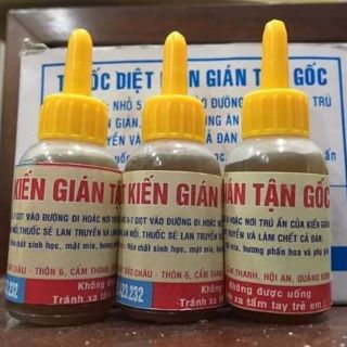 Thuốc diệt kiến gián sinh học chết tận gốc