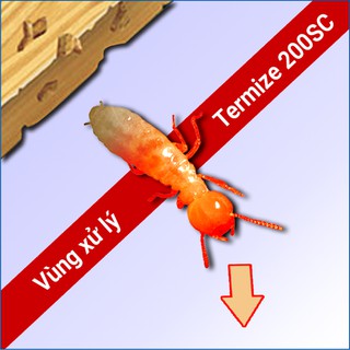  THUỐC DIỆT MỐI CẢ ĐÀN TERMIZE 200SC