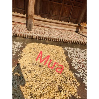 củ cải khô nhà phơi