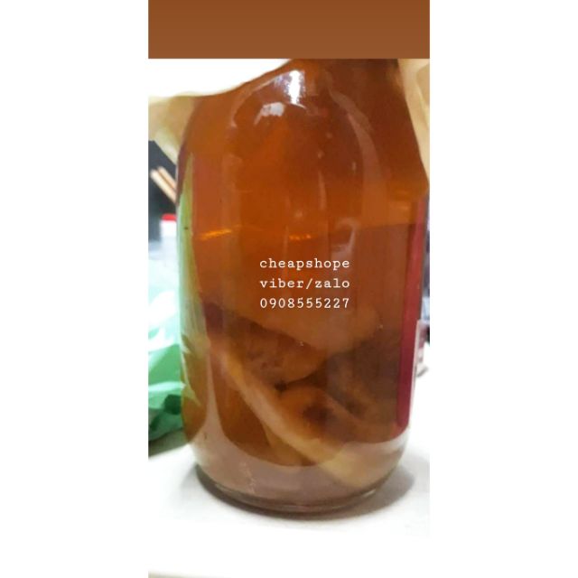 NẤM THỦY SÂM KOMBUCHA (SIZE NHỎ)+ TẶNG KÈM NƯỚC CỐT NGUYÊN CHẤT XỊN XÒ, NẤM KHỎE CHẤT LƯỢNG, | BigBuy360 - bigbuy360.vn