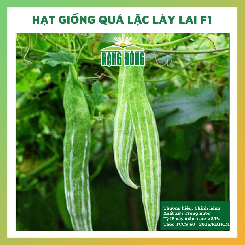 Hạt giống lặc lày (lặc lè) lai F1 - rau củ quả chịu nhiệt 4 mùa tỉ lệ nảy mầm cao 2g RADO 0248