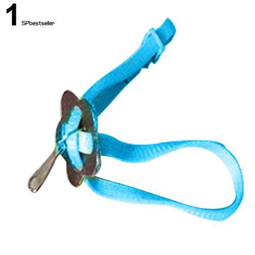 Dây dắt bò sát đi dạo tiện dụng