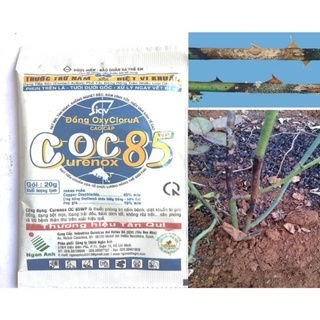 Thuốc Trừ Bệnh COC85WP 20gr