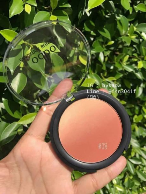 Phấn má Odbo Thailand toàn màu xinh lung linh | BigBuy360 - bigbuy360.vn