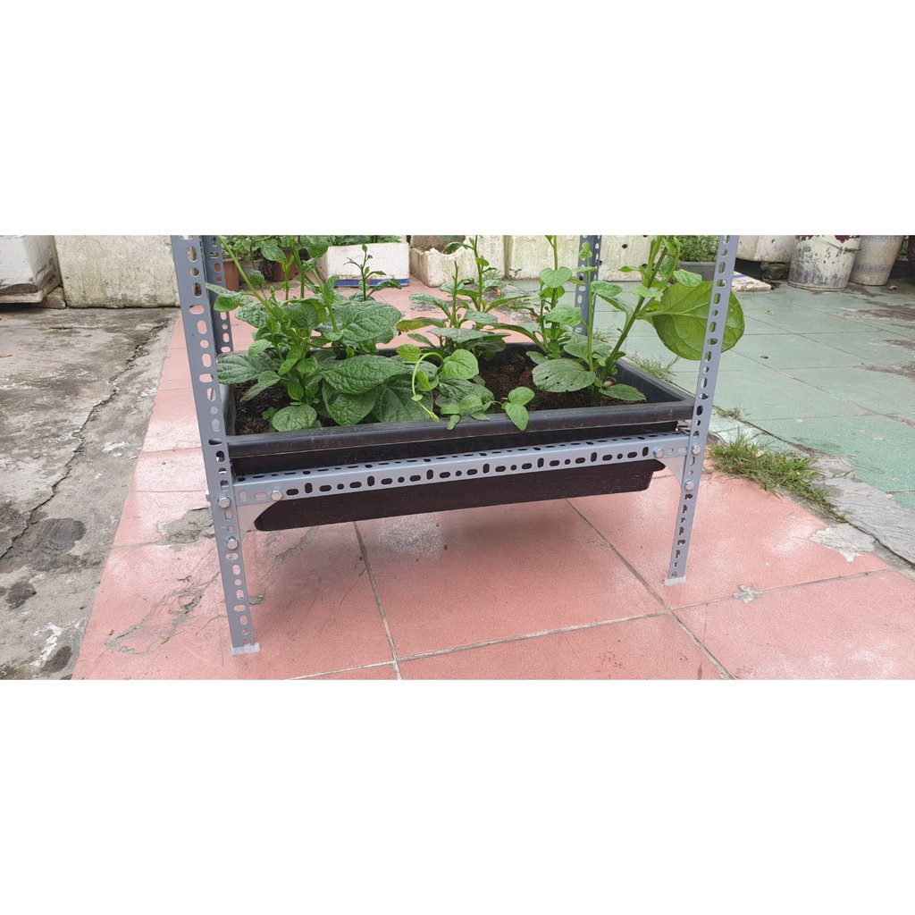 Kệ sắt trồng rau thông minh 1 tầng dùng cho 2 khay trồng rau kích cỡ 68x43x15 cm