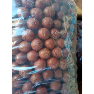 HẠT MACCA DAKLAK loại1