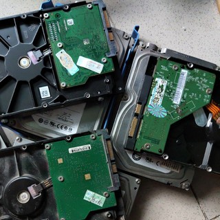 Ổ cứng hdd 500g pc