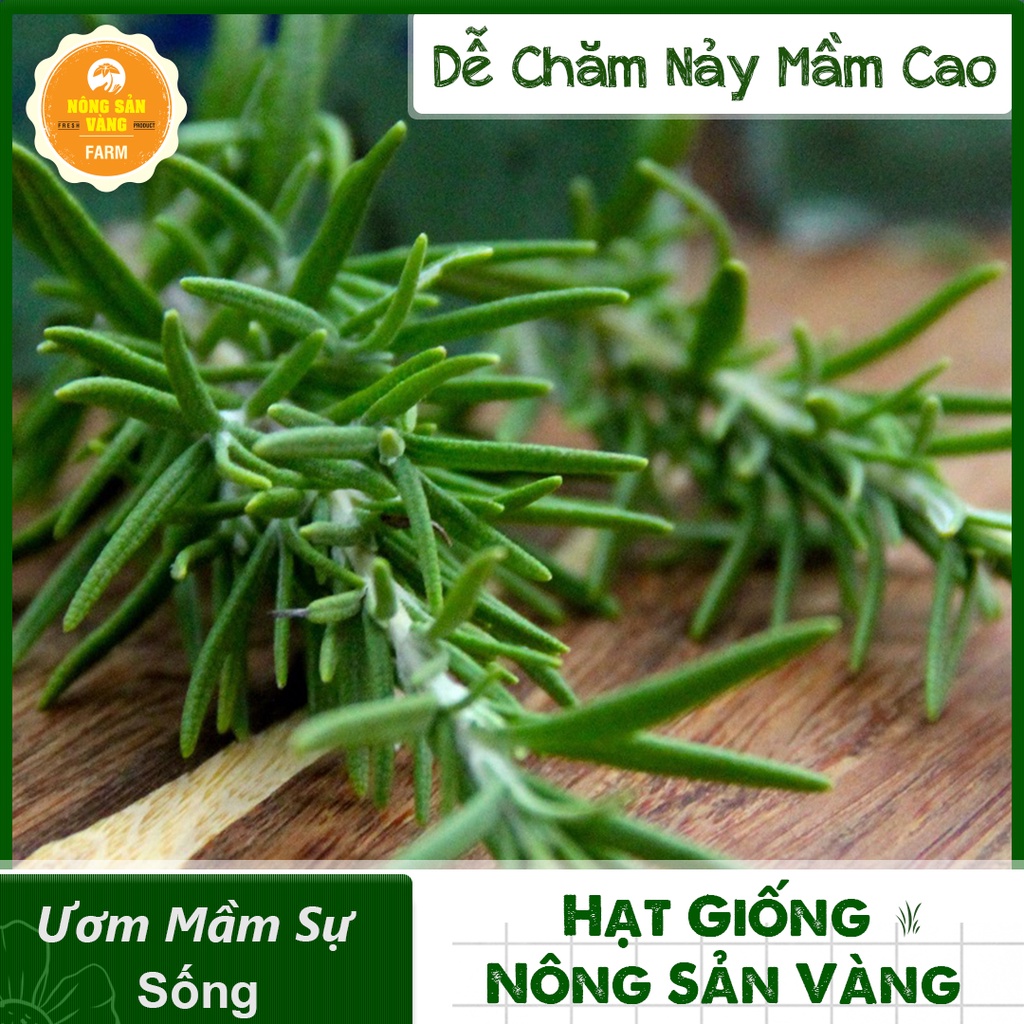 Hạt giống Rau Ăn Lá, Chịu Nhiệt, Trồng Quanh Năm, Dễ Trồng, Năng Suất Cao - Nông Sản Vàng