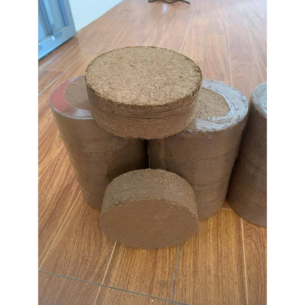 BÁNH NÉN MỤN DỪA ĐÃ XỬ LÝ