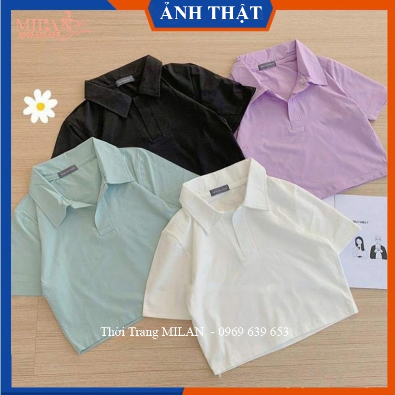 Áo croptop nữ tay ngắn dáng áo croptop có cổ bẻ v form rộng ôm ngắn tay vải cotton thun co giãn mặc đi biển chơi tập gym