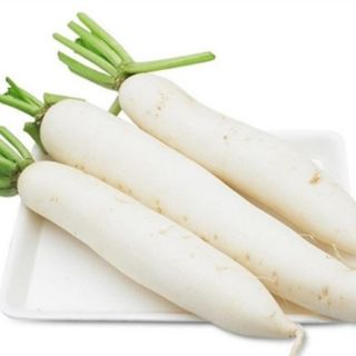 Hạt giống Củ Cải Trắng RADO gói 50GR cao cấp, năng suất cao, củ nặng ký