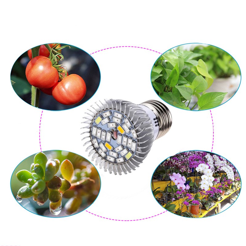 Đèn LED trồng cây - đèn quang hợp cho cây