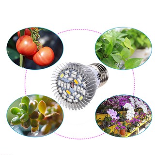Đèn LED trồng cây - đèn quang hợp cho cây