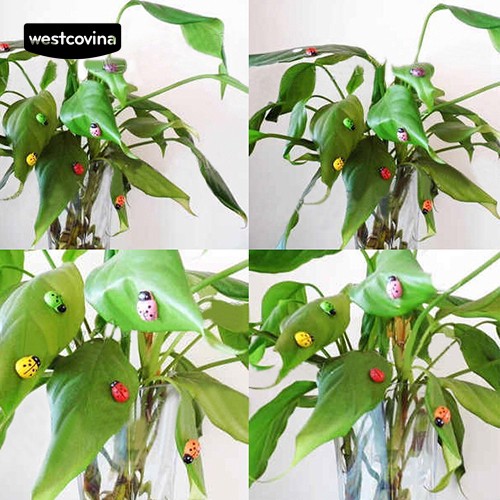 Bộ 100 Bọ Cánh Cứng 3d Trang Trí Sinh Động