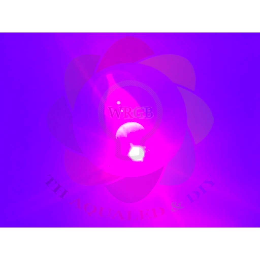 Nhân LED UV Luxeon 1w/3W Epistar, Chip đèn LED kết xuất màu cao