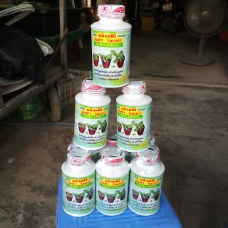 Thuốc kích keiki thái lan siêu tốt loại 250ml