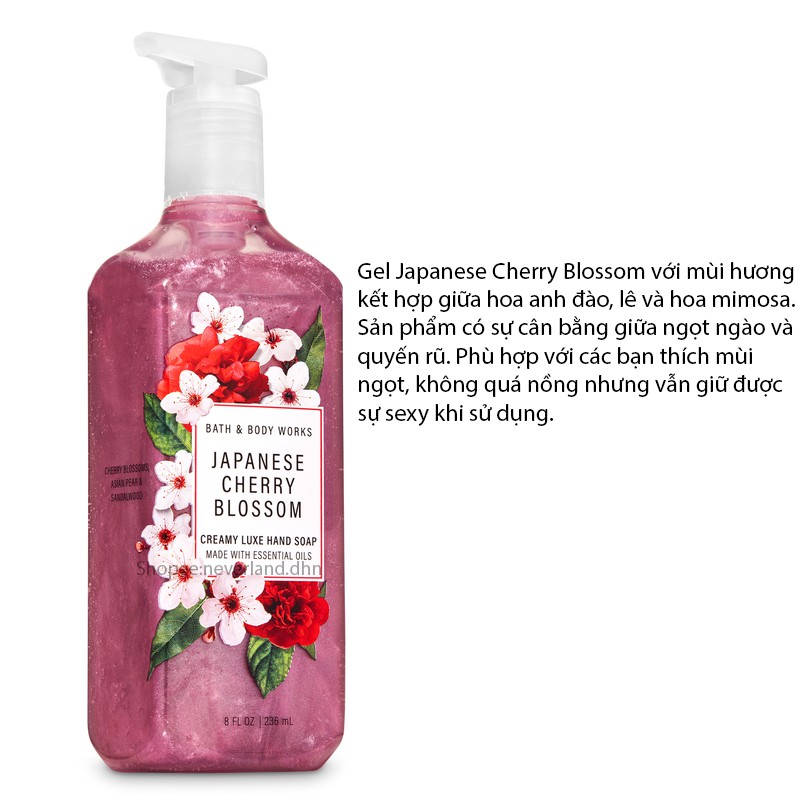 Rửa Tay Bath And Body Works Gel Foam Tạo Bọt Winter candy apple, Toasted Vanilla, Vanilla Bean 259ml