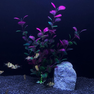 Cây Cỏ Giả 20cm Trang Trí Bể Cá
