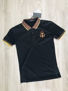 ÁO polo tang dolce