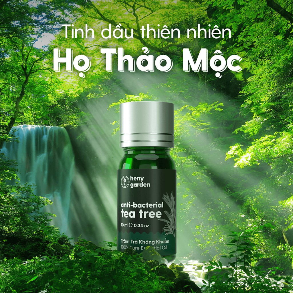 Tinh Dầu Thơm Phòng Thiên Nhiên 10 MÙI Thảo Mộc Giúp Thanh Lọc Không Khí HENY GARDEN